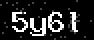verify code