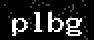 verify code