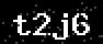verify code