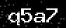 verify code