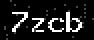verify code