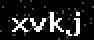 verify code