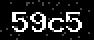 verify code