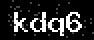 verify code