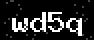verify code