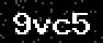 verify code