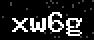 verify code