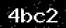 verify code