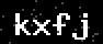 verify code