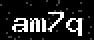 verify code