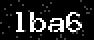 verify code