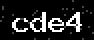 verify code
