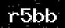 verify code