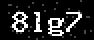 verify code