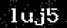 verify code