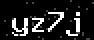verify code