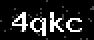 verify code