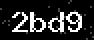 verify code