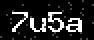 verify code