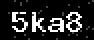 verify code