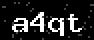 verify code