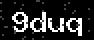 verify code
